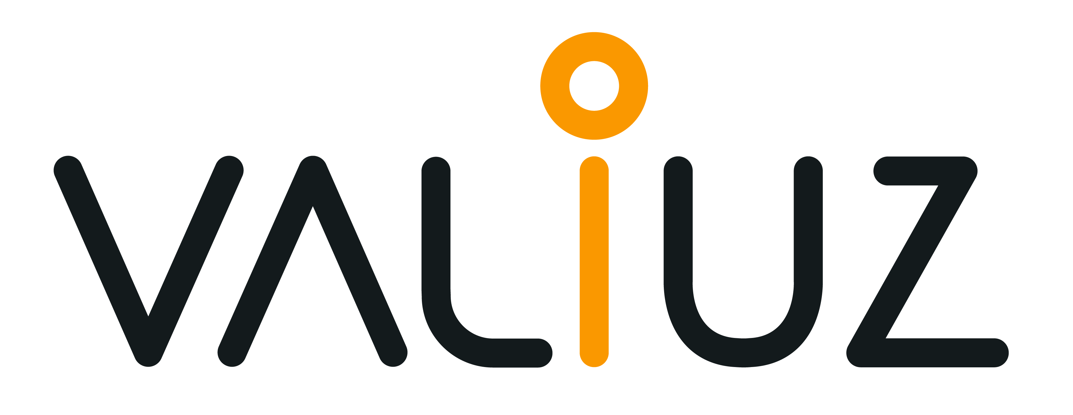 logo_valiuz